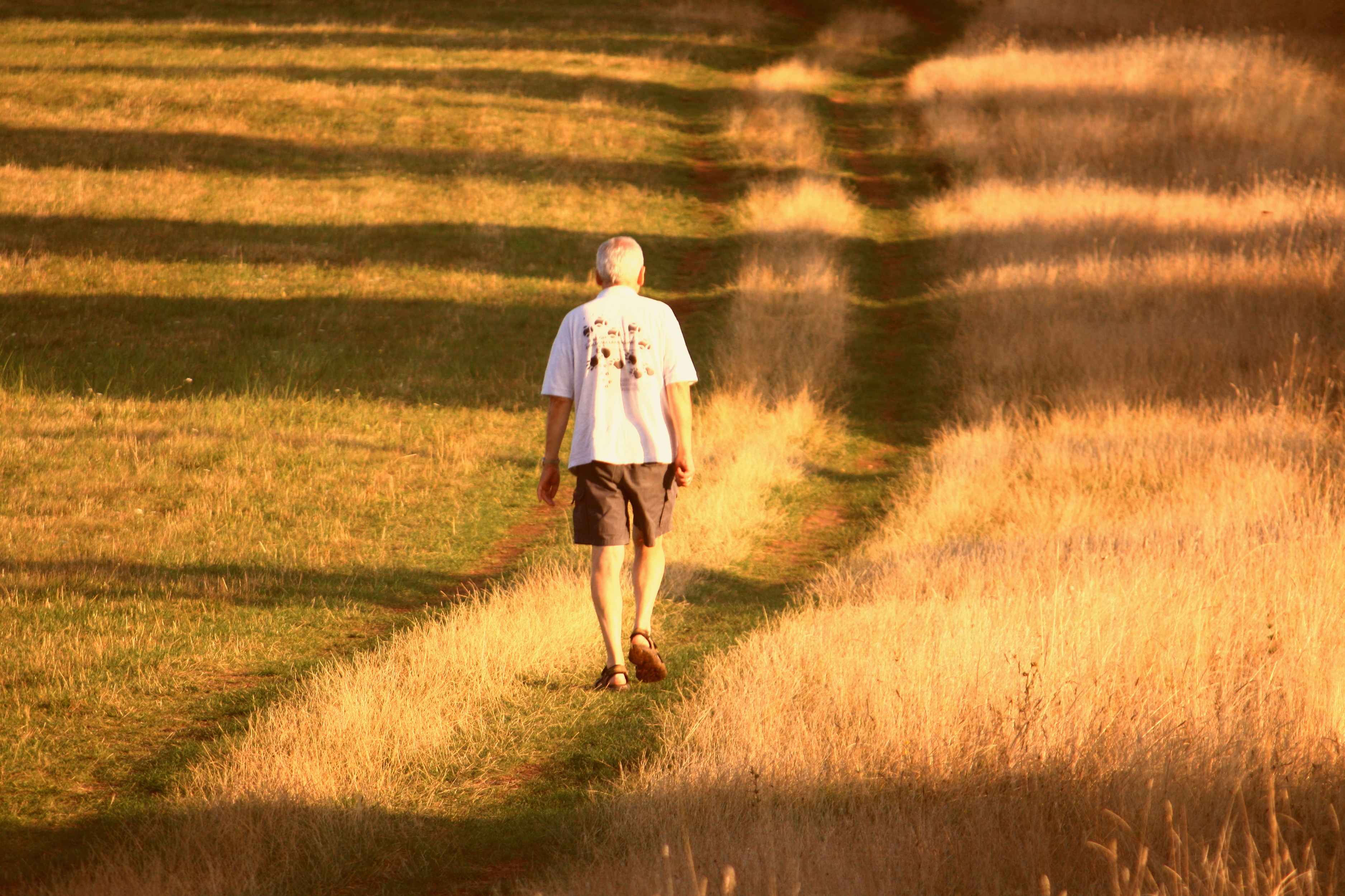 Társ az otthoni ápolásban