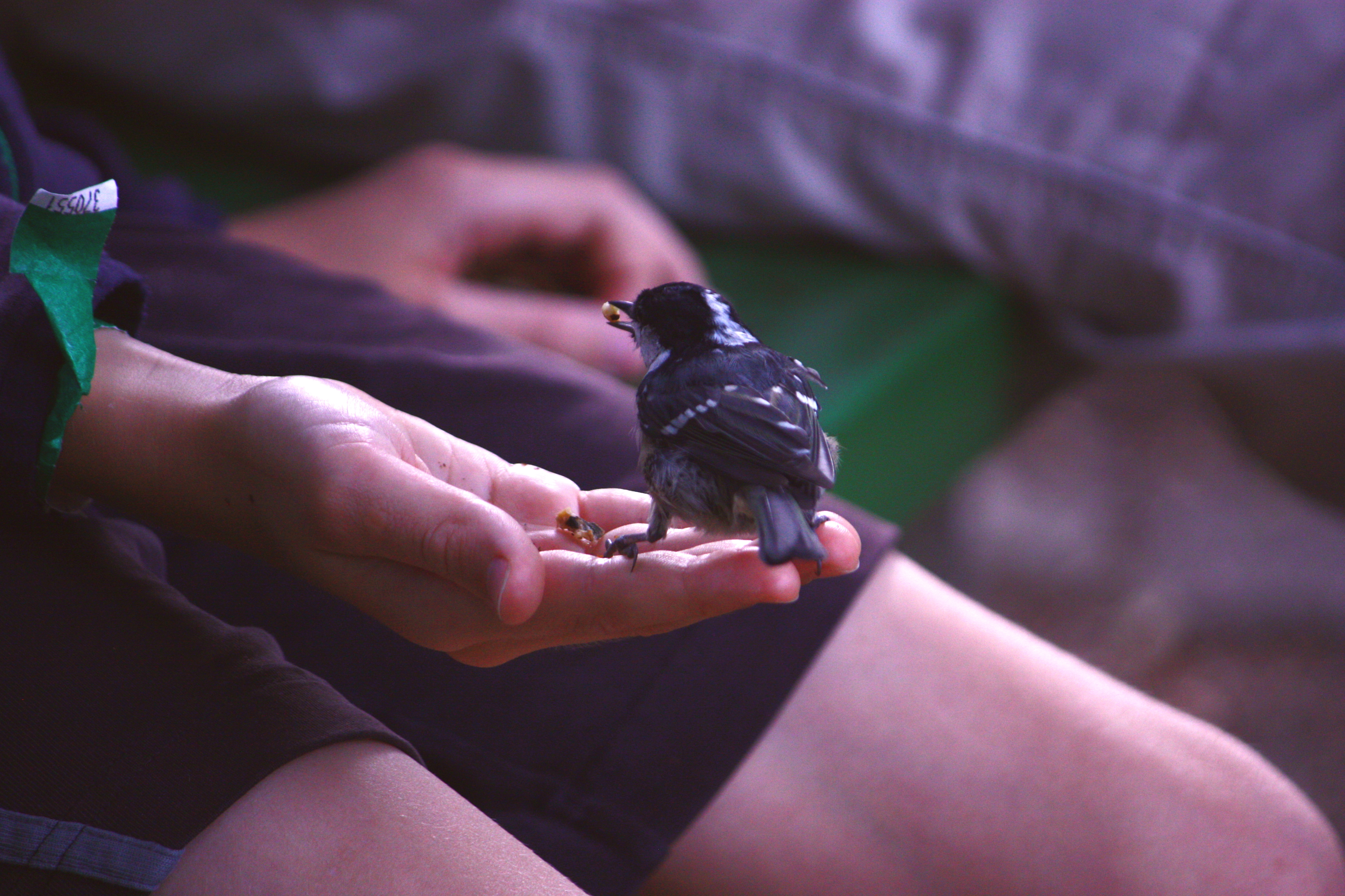 Fotó - Moldoványi Barnabás