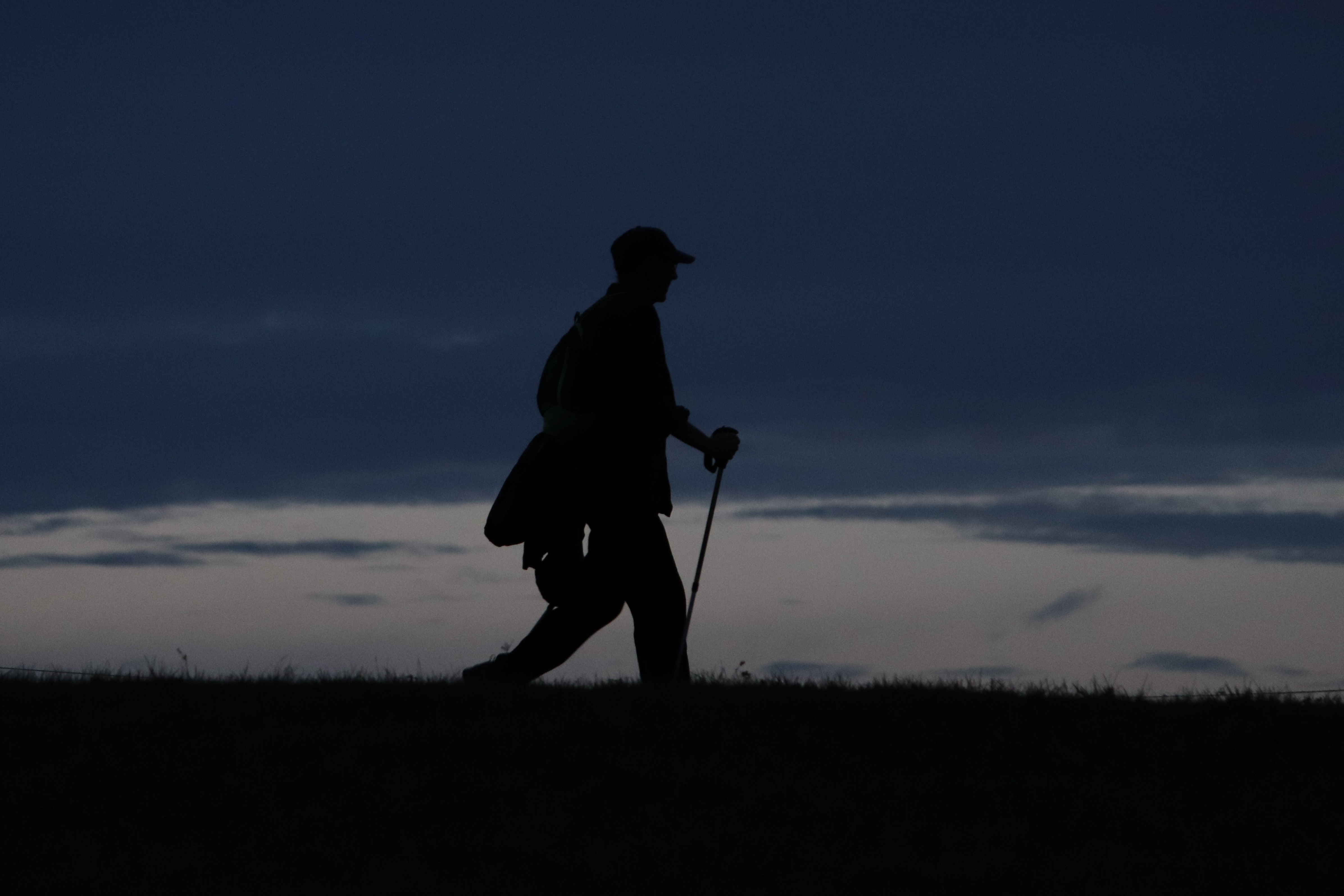 Fotó - Moldoványi Barnabás