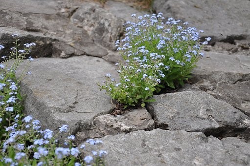 Bakonyi Zsófia: „Remélem…..” Miért jó a remény?