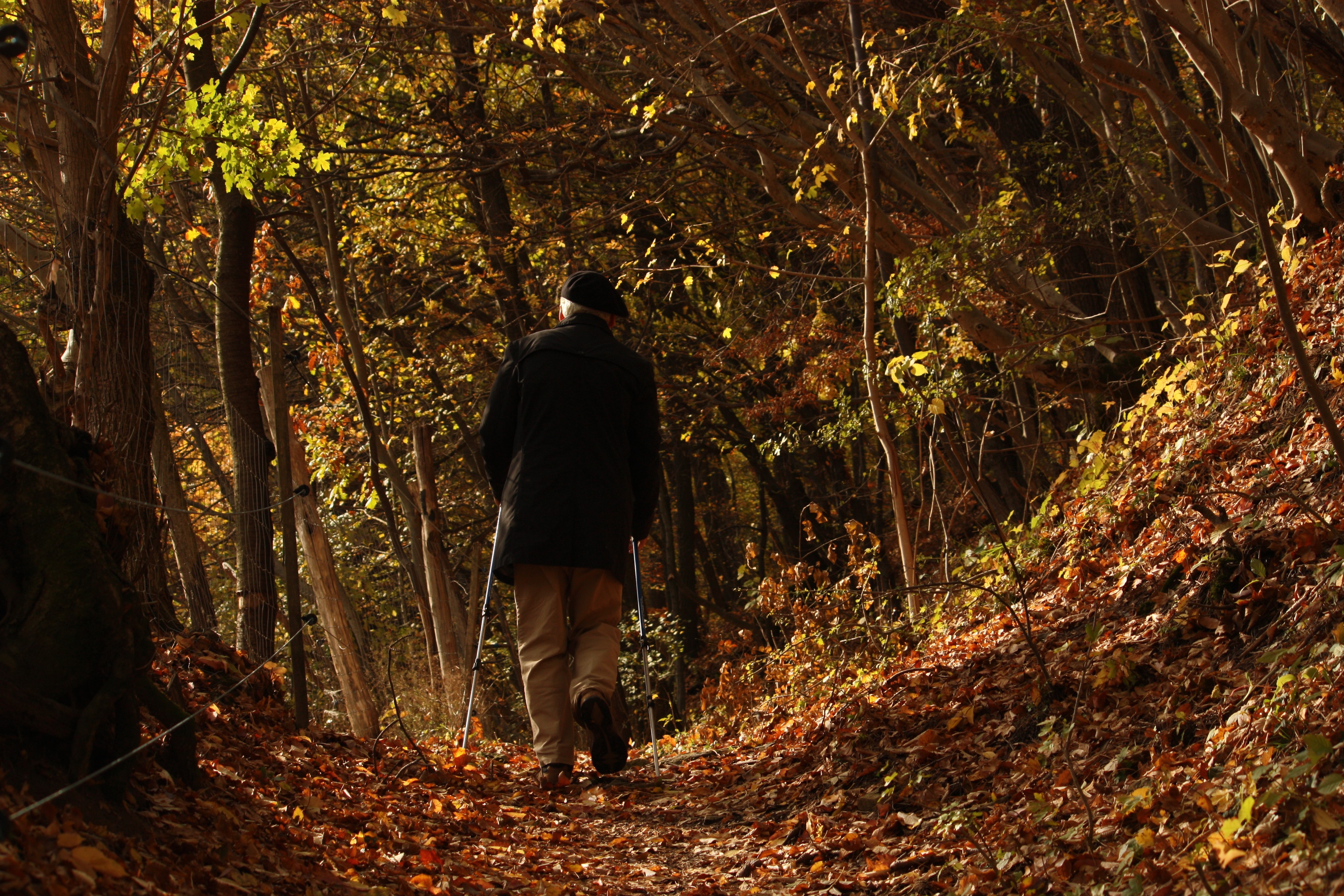 Megöregedni? Méltósággal?